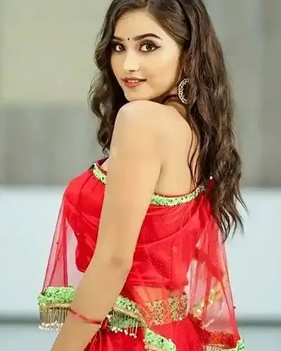 Call Girls Service Badod
